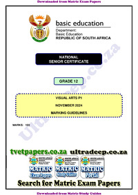 Visual_Arts_P1_Nov_2024_MG_Eng_-_UltraDeep.co.za.pdf